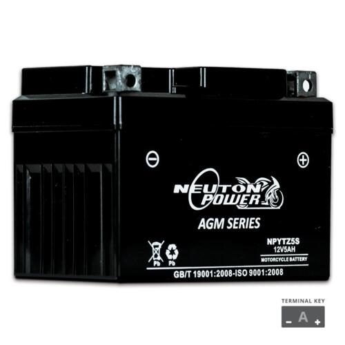 Neuton Power AGM Motorcycle Battery 12V 5Ah 95CCA (NPYTZ5S) - Superstart - Superstart Batteries