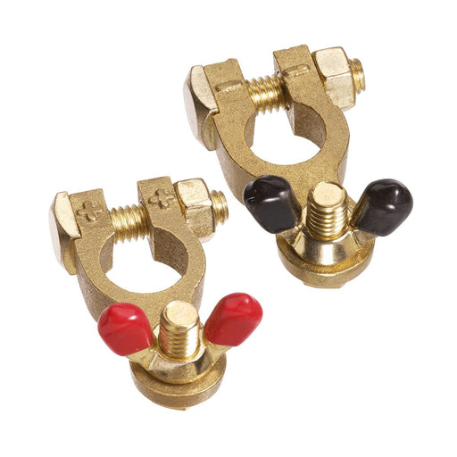 Projecta Brass Battery Terminal Wingnut Marine (Pair) BT14-2 - Superstart Batteries