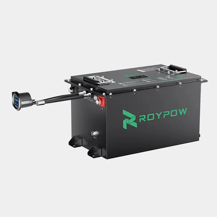 Roypow S5165L Golf Cart LiFePO4 Battery - 48V 65Ah