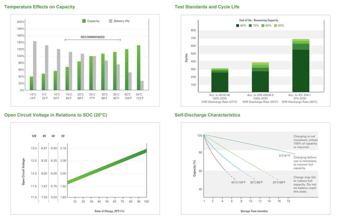 Discover EVL16A-A Deep Cycle AGM Battery - 6V 390Ah - Superstart Batteries